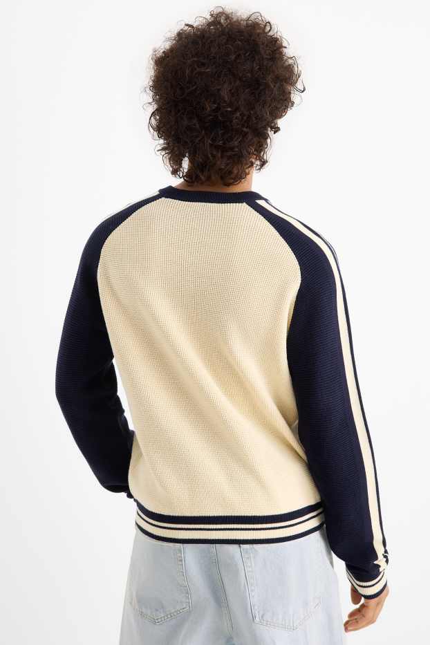 Men - V-neck jumper - textured - black / beige