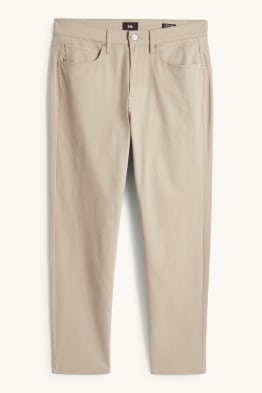Trousers - regular fit