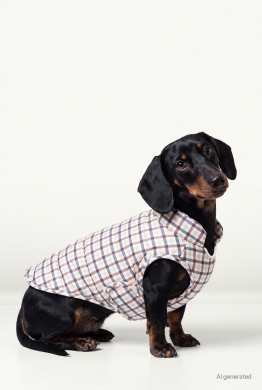 Manteau pour chien - à carreaux
