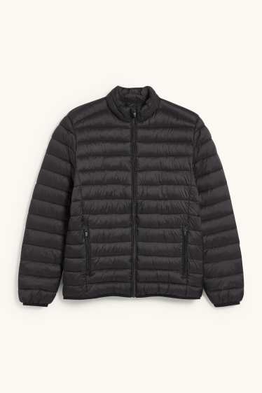 Herren - Steppjacke  - schwarz