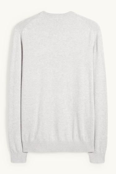 Herren - Feinstrick-Pullover - hellgrau