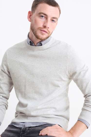 Herren - Feinstrick-Pullover - hellgrau