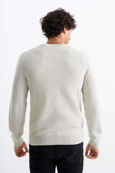 Hommes - Pull - gris clair