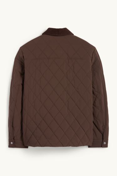 Hommes - Doudoune - marron foncé