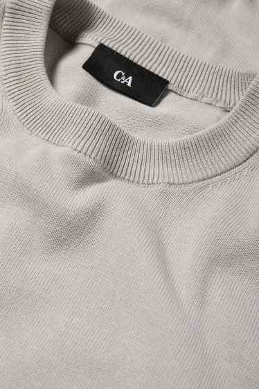 Men - Fine knit jumper - light gray