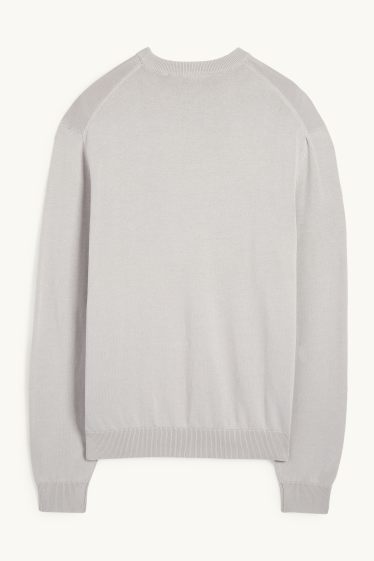 Men - Fine knit jumper - light gray