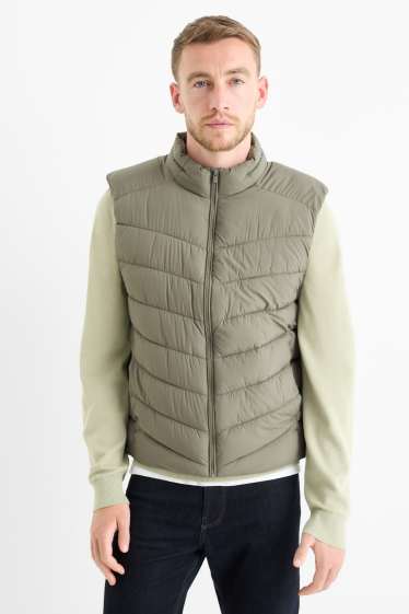 Herren - Steppweste - grün