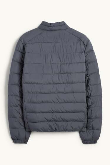 Herren - Steppjacke - grau