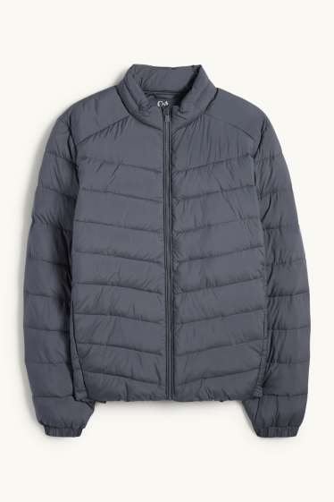 Herren - Steppjacke - grau