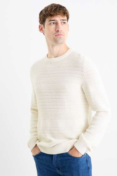 Pánské - Svetr - strukturovaný - krémově bílá