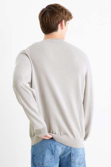 Men - Fine knit jumper - light gray
