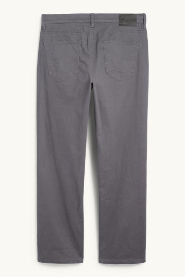 Herren - Thermohose - Regular Fit - grau