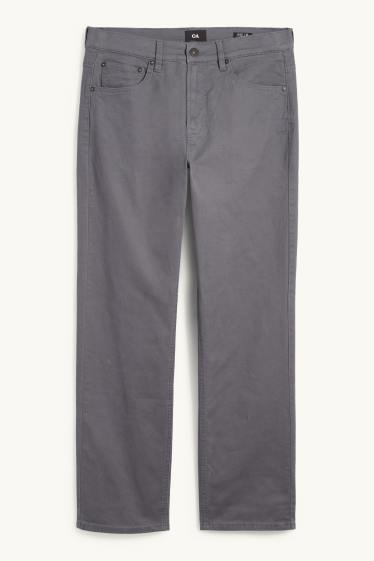 Herren - Thermohose - Regular Fit - grau