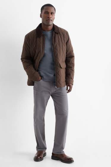 Herren - Thermohose - Regular Fit - grau