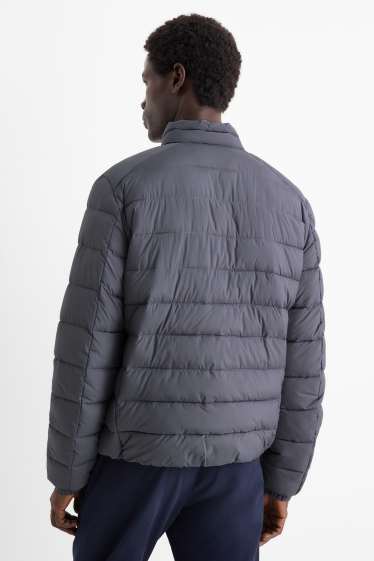 Herren - Steppjacke - grau