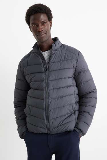 Herren - Steppjacke - grau