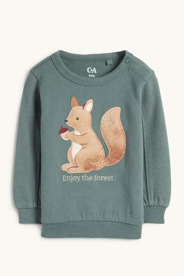 Baby Boys - Squirrel - baby sweatshirt - green
