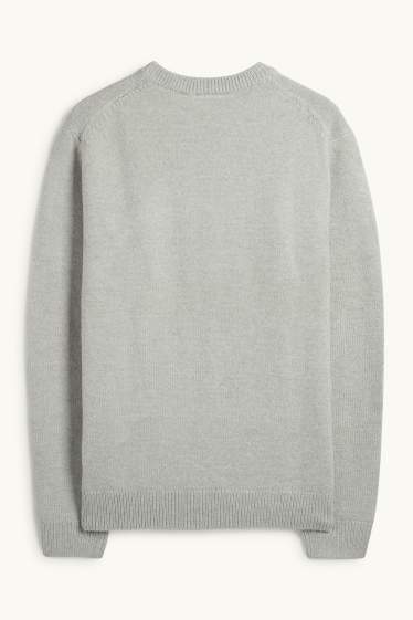 Hommes - Pull - gris clair