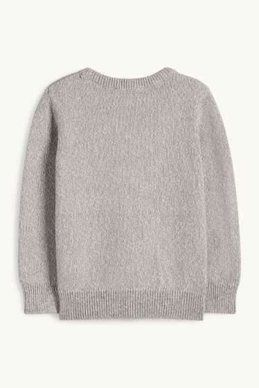 Enfants garçons - Raton laveur, renard et ours - pull - gris