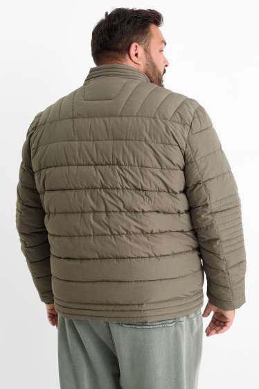 Herren - Steppjacke - khaki