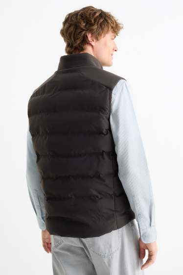 Heren - Bodywarmer - waterafstotend - zwart