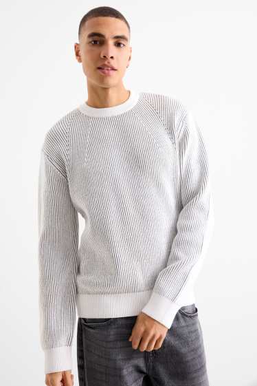 Men - Jumper - ribbed - white / gray