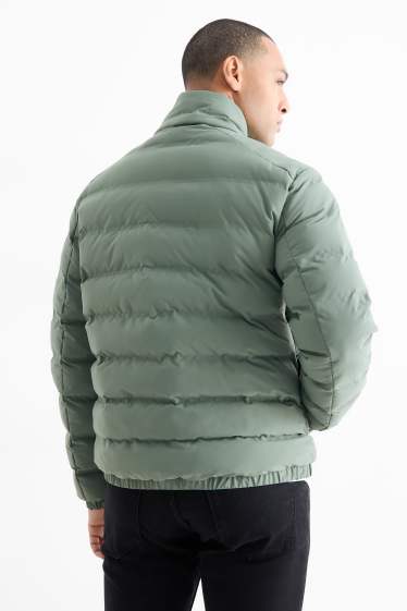 Heren - Gewatteerde jas - waterafstotend - groen