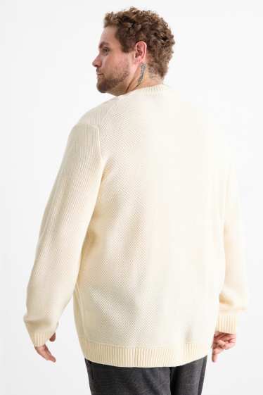 Pánské - Svetr - strukturovaný - krémově bílá