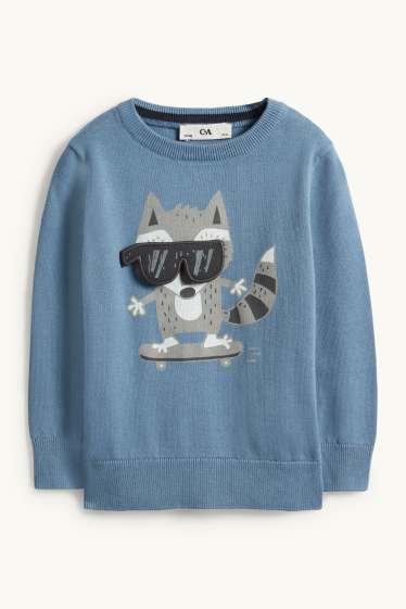 Enfants garçons - Raton laveur - pull - bleu