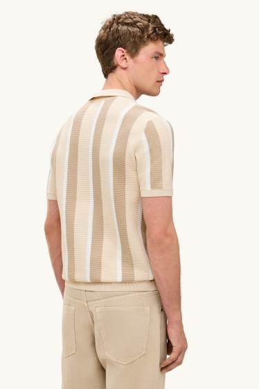 Herren - Strick-Poloshirt - Regular Fit - gestreift - strukturiert - beige