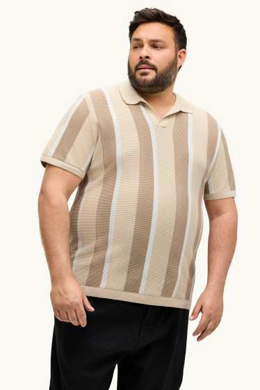 Men - Knitted polo shirt - regular fit - striped - textured - beige