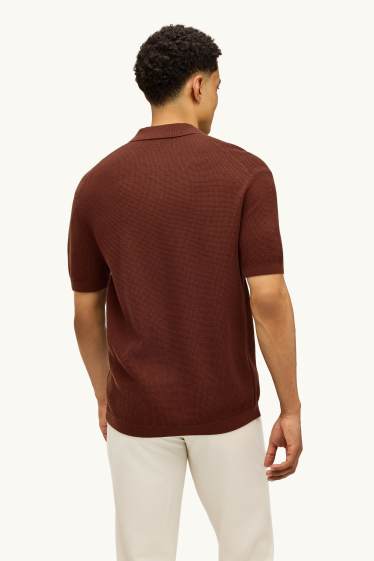 Herren - Strick-Poloshirt - Relaxed Fit - braun