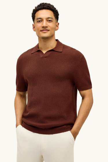 Herren - Strick-Poloshirt - Relaxed Fit - braun