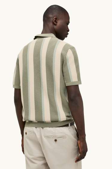 Herren - Strick-Poloshirt - Regular Fit - gestreift - strukturiert - grün