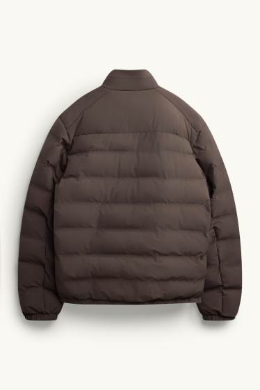 Herren - Funktions-Steppjacke - gefüttert - wasserabweisend - dunkelbraun