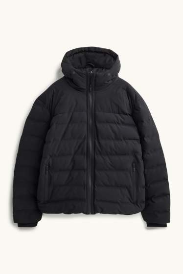 Herren - Funktions-Steppjacke mit Kapuze - gefüttert - schwarz