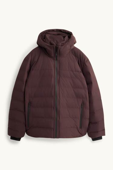 Herren - Funktions-Steppjacke mit Kapuze - gefüttert - braun