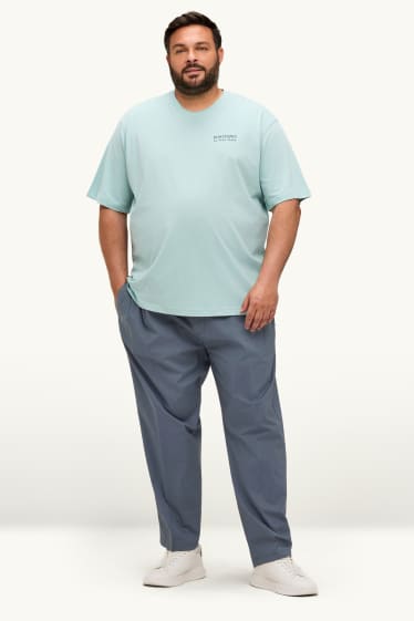 Herren - Hose - Relaxed Fit - grau