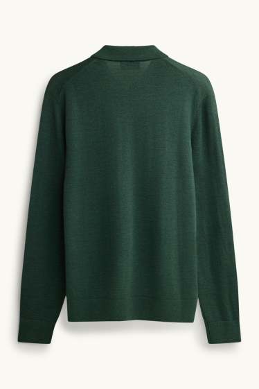 Uomo - Maglione in lana merino - verde