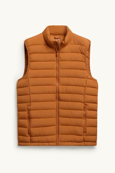 Heren - Bodywarmer - oranje