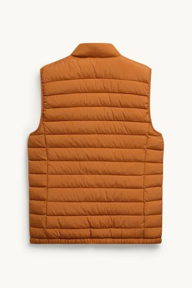 Heren - Bodywarmer - oranje