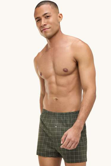 Uomo - Confezione da 2 - boxer - jersey - verde / grigio