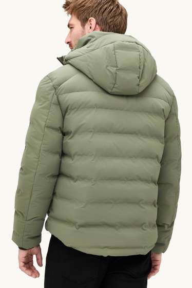 Herren - Funktions-Steppjacke mit Kapuze - gefüttert - grün