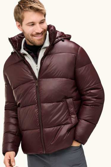 Men - Quilted jacket with hood - lined - water-repellent - dark brown