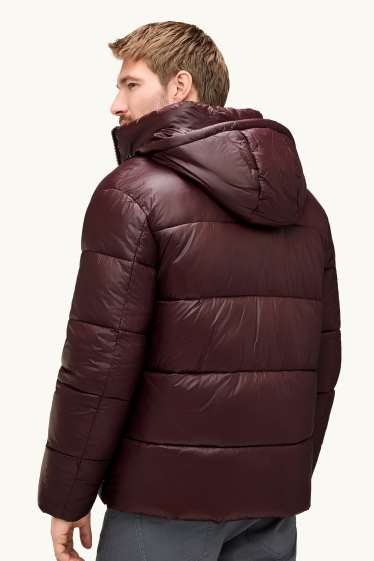 Men - Quilted jacket with hood - lined - water-repellent - dark brown