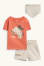 orange / beige