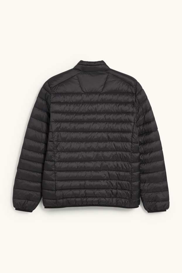 Herren - Steppjacke  - schwarz
