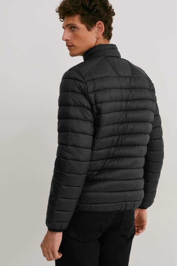 Herren - Steppjacke  - schwarz