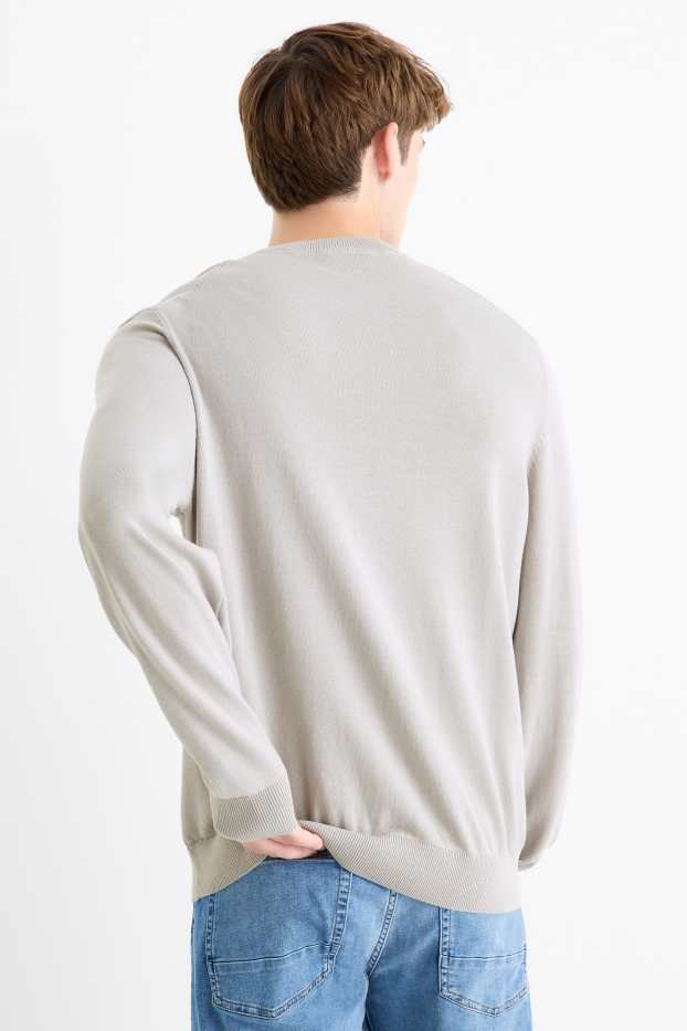 Men - Fine knit jumper - light gray
