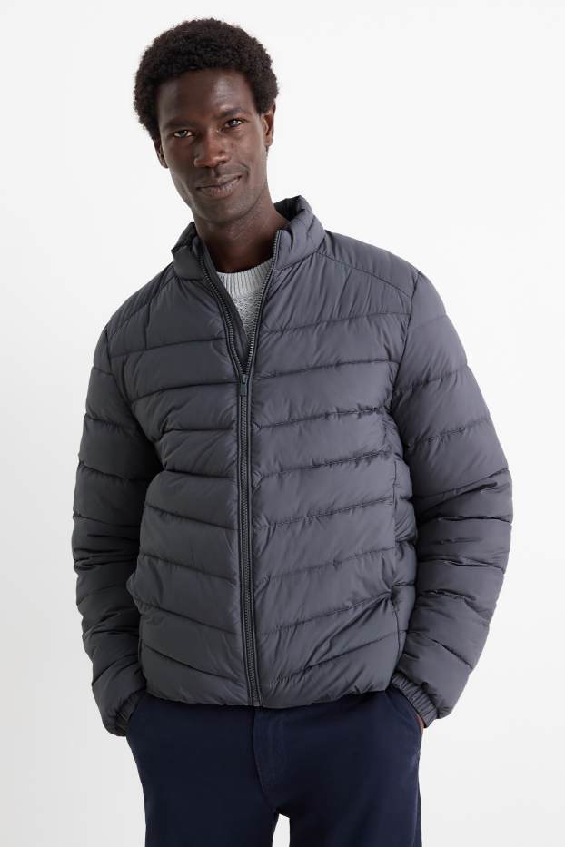 Herren - Steppjacke - grau